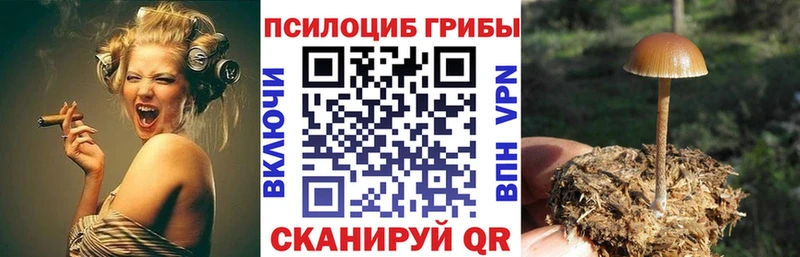 Купить где  Белебей  Галлюциногенные грибы MAGIC MUSHROOMS 